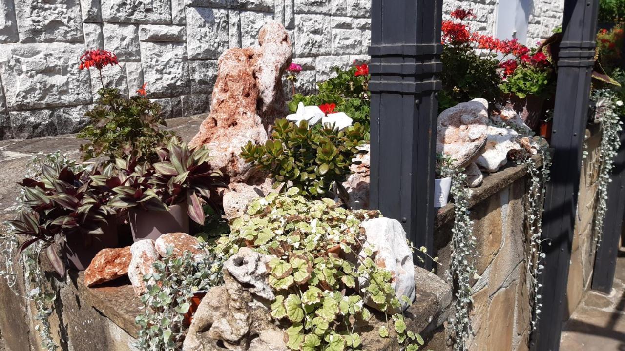 Motivi Hotel Aziz Konstantin ve Elena Dış mekan fotoğraf